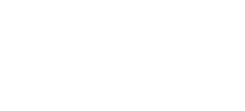 lev development