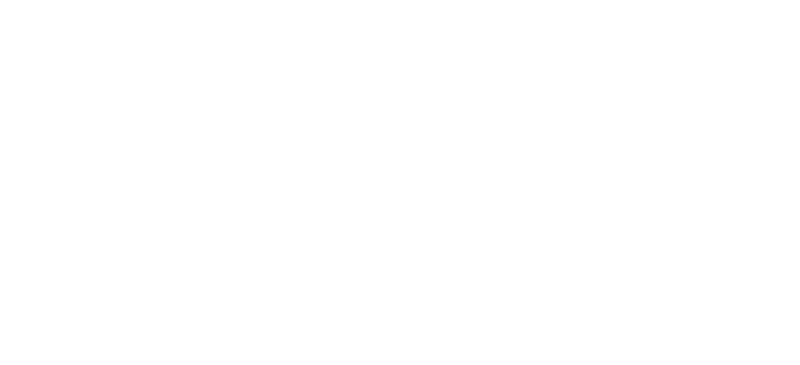 vd group